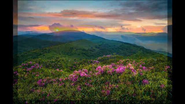 Рассказ "Папа, пойдём домой" смотреть онлайн