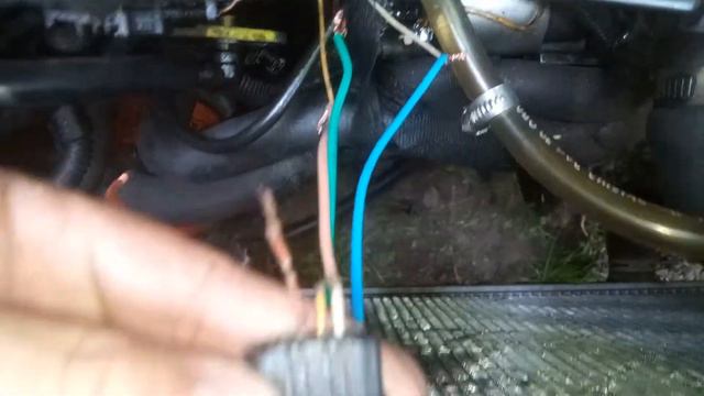 Peugeot 206 1.9 Diesel - Cambio De Ficha EGR DW8