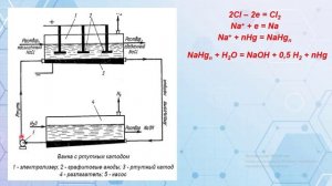 Солошенко К.В.  Производство едкого натра, хлора, водорода и соляной кислоты.