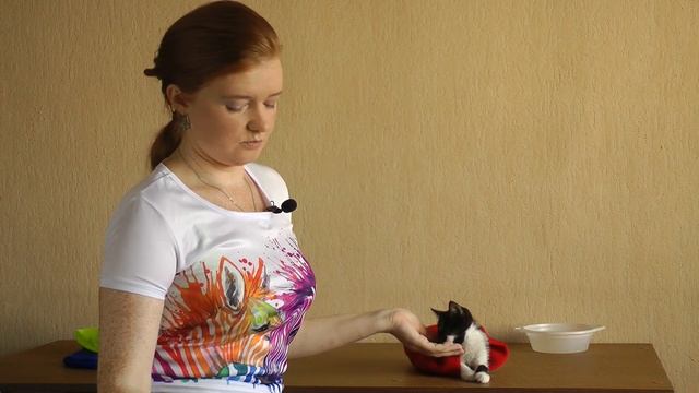 Как продать некрасивого котёнка? Надо его дрессировать! смотреть онлайн