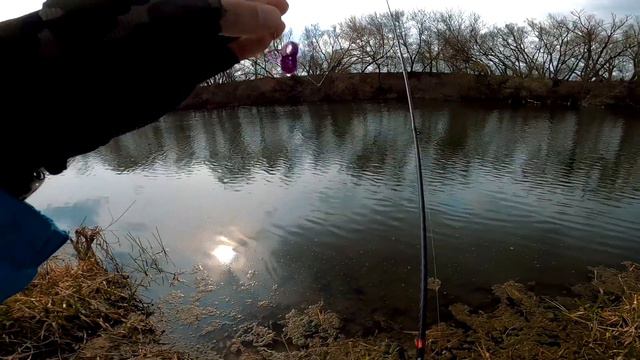 Ловля щуки, окуня и голавля в середине весны | Одна приманка сделала всю рыбалку | Микроджиг на Дон смотреть онлайн