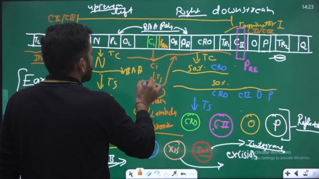 Gene Regulation | Lambda Phage | CSIR Live Series | IIT JAM | GATE | Biology Academy смотреть онлайн