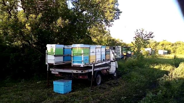 Выезд пчёл на эспарцет смотреть онлайн