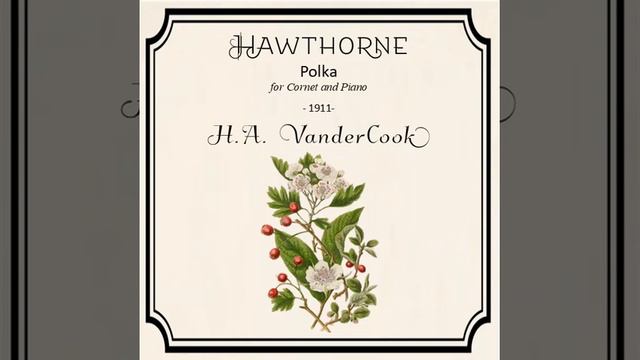 VanderCook: Hawthorne смотреть онлайн