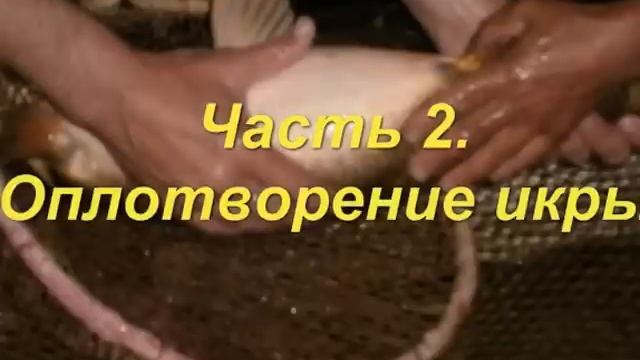 Ретрофильмы и Классика