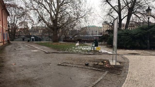 Прогулки по Праге, музей Кафки, шопинг смотреть онлайн