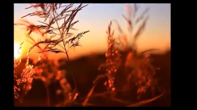 ГОДЫ ! Ну, куда вы , куда вы летите? смотреть онлайн
