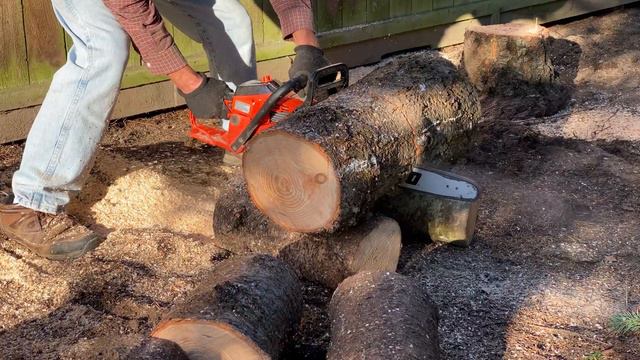 DIY Tree and Stump Removal with an Echo Chainsaw – Part 2 смотреть онлайн