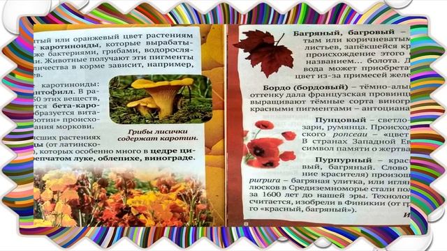 Цвета в природе. Серия Маленький профессор смотреть онлайн