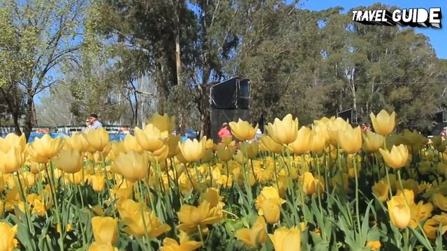 CANBERRA TRAVEL GUIDE 2022 - BEST PLACES TO VISIT IN CANBERRA AUSTRALIA IN 2022 смотреть онлайн