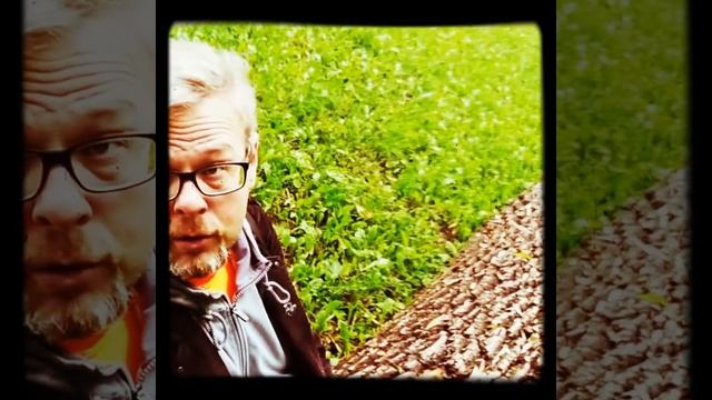 Лимерики | стишки про всякое смотреть онлайн