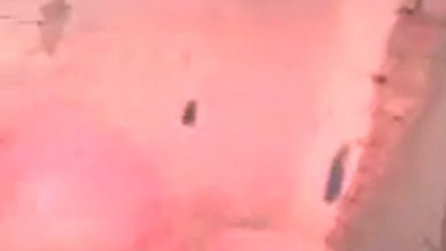 Побритый налысо смотреть онлайн