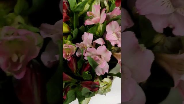 Букет из 35 альстромерий микс в корзинке смотреть онлайн
