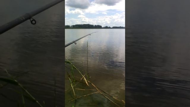 Рыбалка на рогатом пруду ,2часть смотреть онлайн