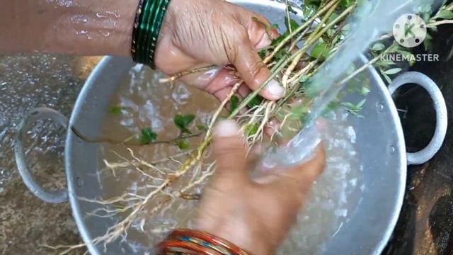 kadira berina kashaya/ ಕಡೀರ ಬೇರಿನ ಕಶಾಯ #healthy ಗರ್ಭಿಣಿಯರು ಕುಡಿಯಬಹುದಾದ ಕಶಾಯ смотреть онлайн