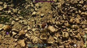 Полный гайд по наплечным животным в ARK: Survival Ascended