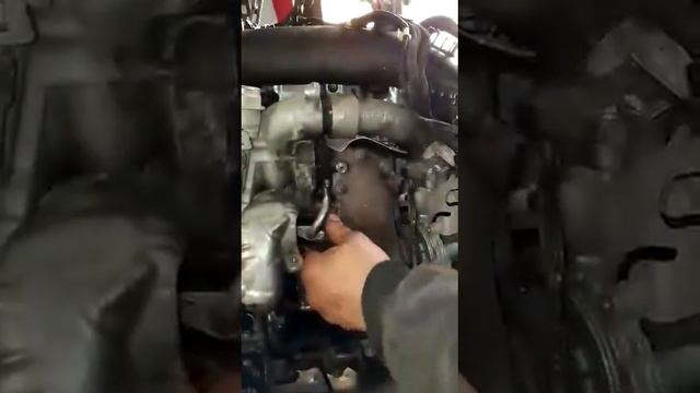 Talisman 1.6 dci twinturbo egr soğutucu değişimi смотреть онлайн