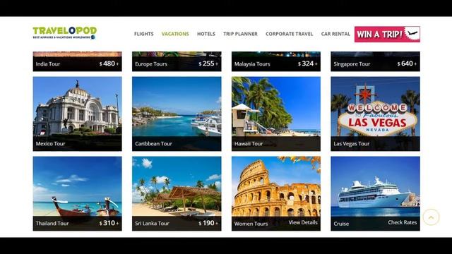 Java Portfolio смотреть онлайн