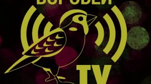 Интеграция инвалидов по зрению в общество