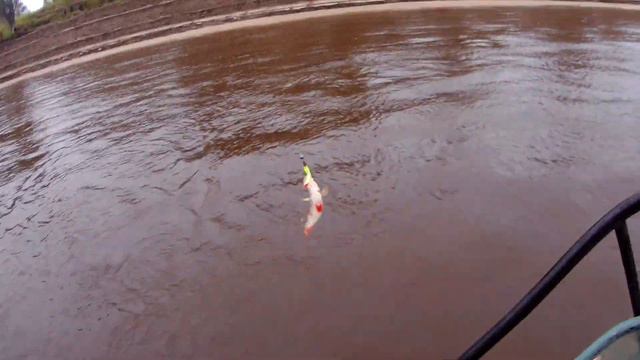 Рыбалка с лодки,хотели щуку ,а наловили окуня . смотреть онлайн