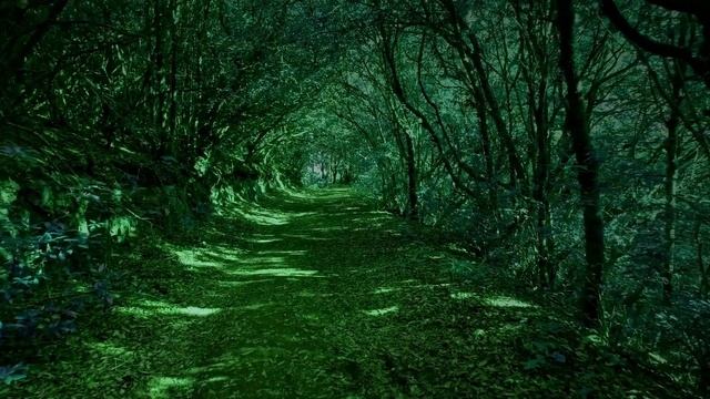 Forest Meditation Ambience: relaxing music for stress relief | Deep Sleep | Relaxing | Calm смотреть онлайн