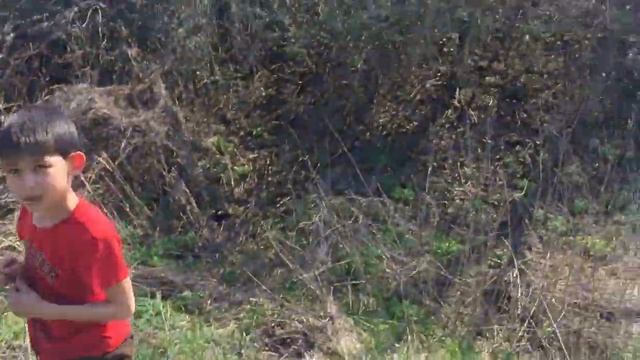 Я спустился в овраг, где живёт лиса и лисёнок смотреть онлайн