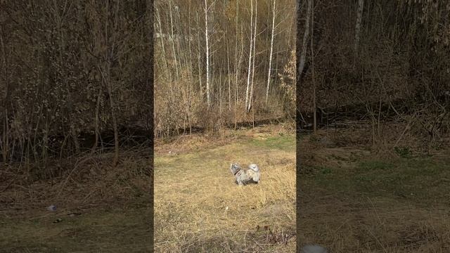 Мы не знаем что это такое! смотреть онлайн