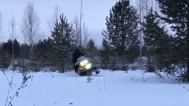 Ski-doo tundra катаем по лесу смотреть онлайн