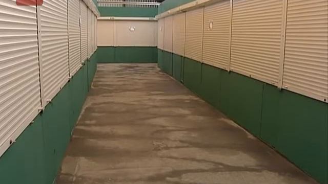 Вскоре в Великом Новгороде начнет работу еще один крупный сельскохозяйственный рынок смотреть онлайн