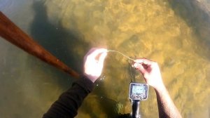 пляжный коп с нокта макро анфибио мульти на реке Сосна. золото и серебро .