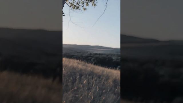 Жетысу жонгар Алатау сарканд Kazakhstan Almaty Alatau смотреть онлайн