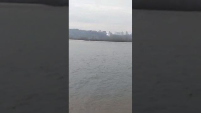 К. Чуковский. Тараканище смотреть онлайн