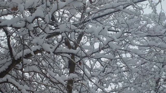 Релакс природа музыка для души и жизни 51 смотреть онлайн