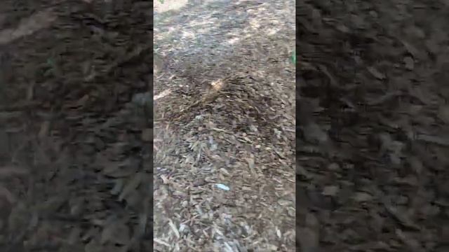 testing jump with friends смотреть онлайн