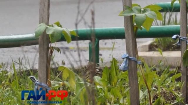 Клещевина смотреть онлайн