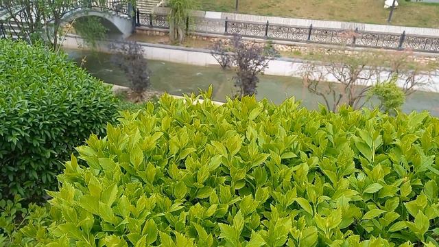 Такое можно увидеть лишь ..#youtube смотреть онлайн