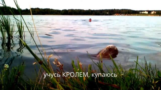 27.07.2014 идём на Цнянское водохранилище смотреть онлайн