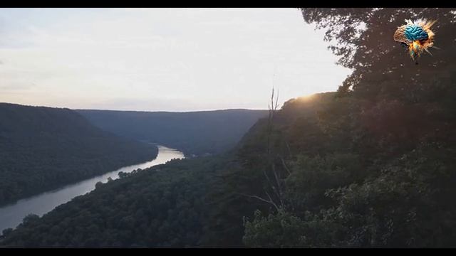 Exercise-Induced Asthma: Overcoming the Worst Enemy of Your Workout #bronchospasm #fitness смотреть онлайн