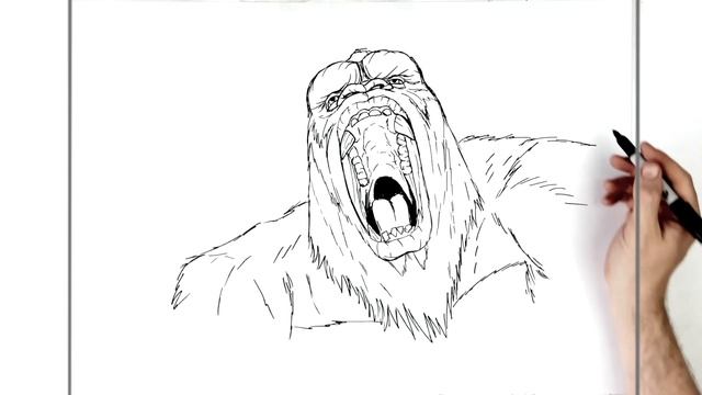 How To Draw Kong vs Warbat | Step By Step | Monsterverse смотреть онлайн