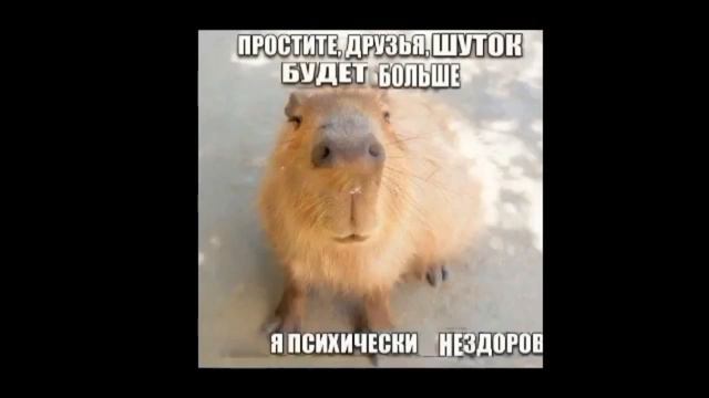 Простите друзья, я люблю...
