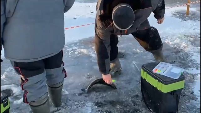 Рыбалка со льда в Юдино! Открытие сезона и первые поимки форели! Клевое Место, Юдино смотреть онлайн