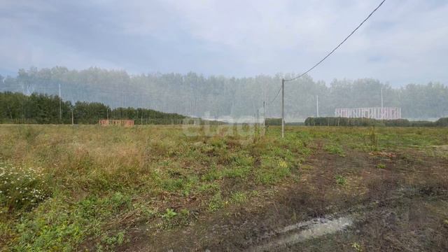 11235576 смотреть онлайн