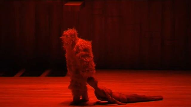 Janacek The Cunning little Vixen, Ann-Christine Larsson,(Fox), Hila Baggio,(Vixen), смотреть онлайн