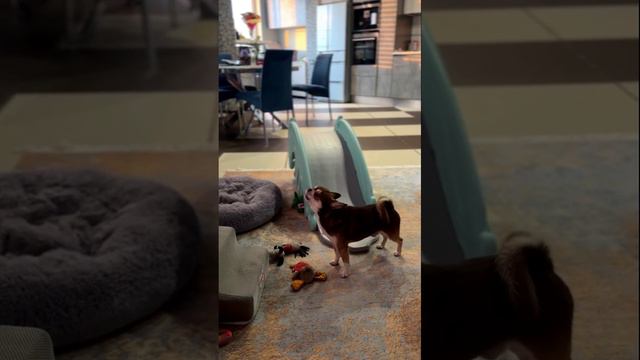 Ах как хочется///