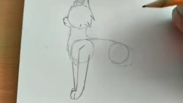 как рисовать кота воителя? смотреть онлайн