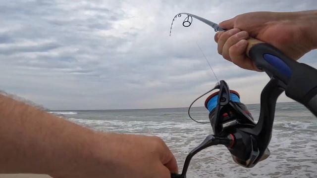From BAY to Table: Catching Fresh Wild Clams & Cooking Seafood Cioppino смотреть онлайн