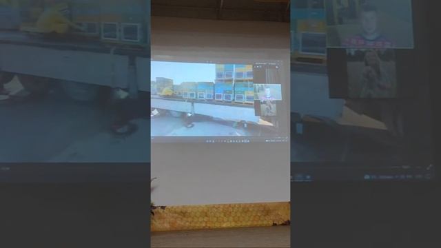 Использование в кочевой пасеке ульев ППУ"Нижегородец", Алексей Тараканов, Ген.дир-ор. Пчеловод-202 смотреть онлайн