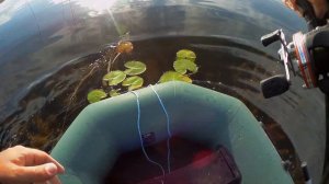 Джерки, Ловля щуки на джеркбейт. BusterJerk.