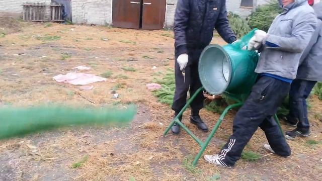 Живые новогодние сосны елки оптом смотреть онлайн