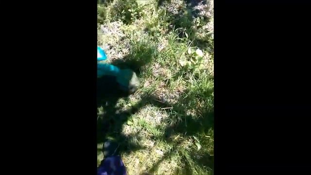 Электрогазонокосилка,триммер Bosch Easytrim ART23 Косим газон смотреть онлайн